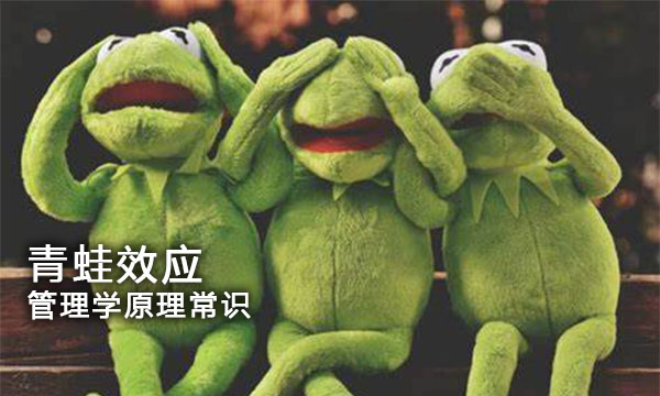 管理学 | 管理学原理常识【青蛙效应】，你值得拥有_mba工商管理知识