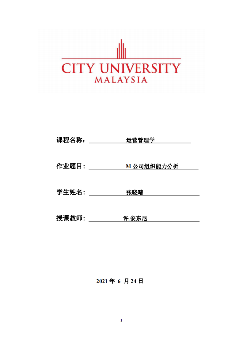 M公司组织能力分析-第1页-缩略图