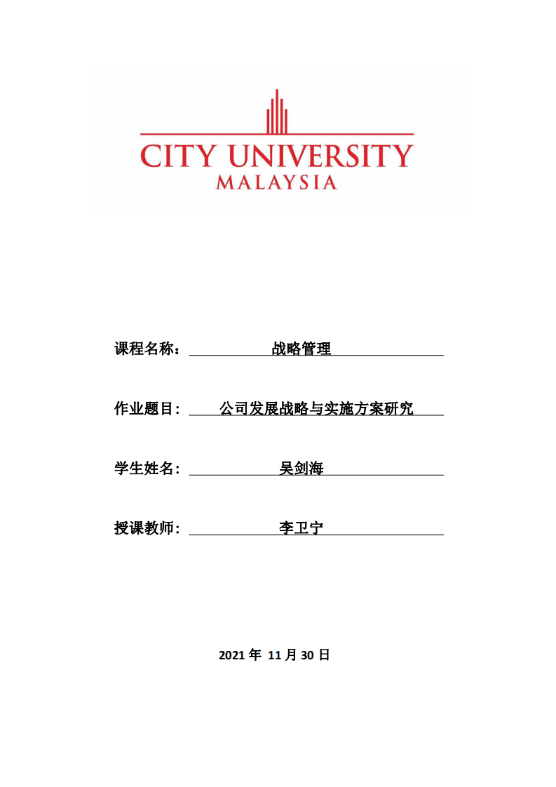 公司发展战略与实施方案研究-第1页-缩略图