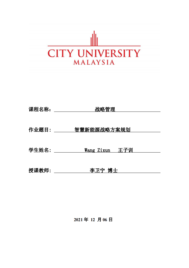 智慧新能源战略方案规划-第1页-缩略图