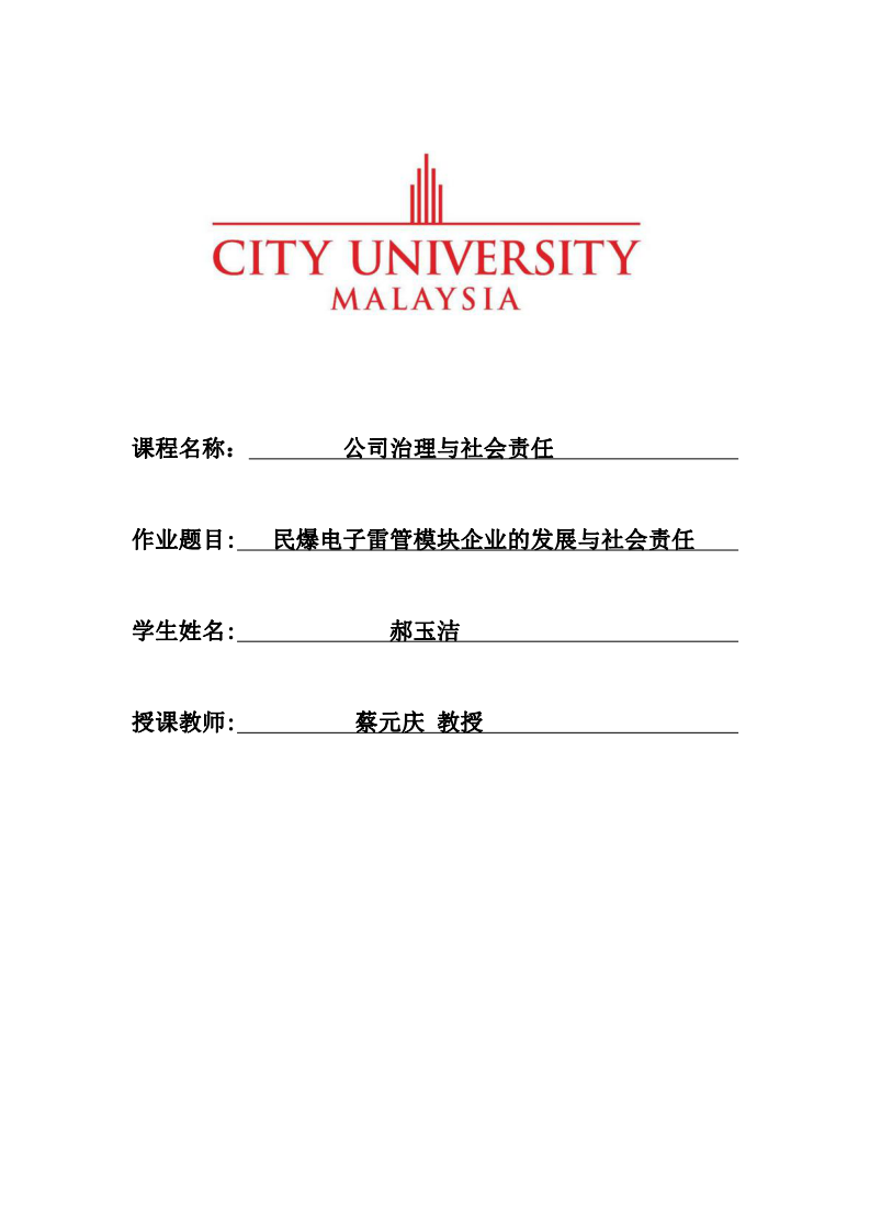 民爆电子雷管模块企业的发展与社会责任-第1页-缩略图