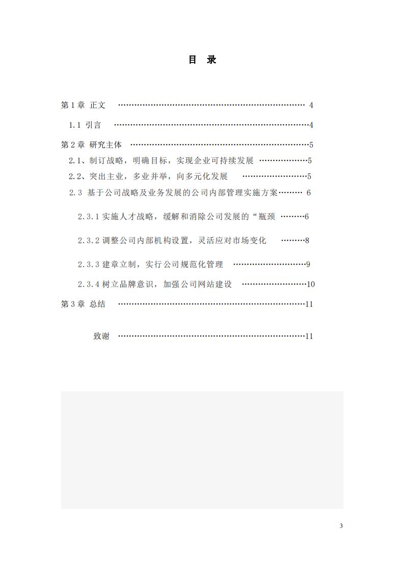 SW公司战略实施方案-第3页-缩略图