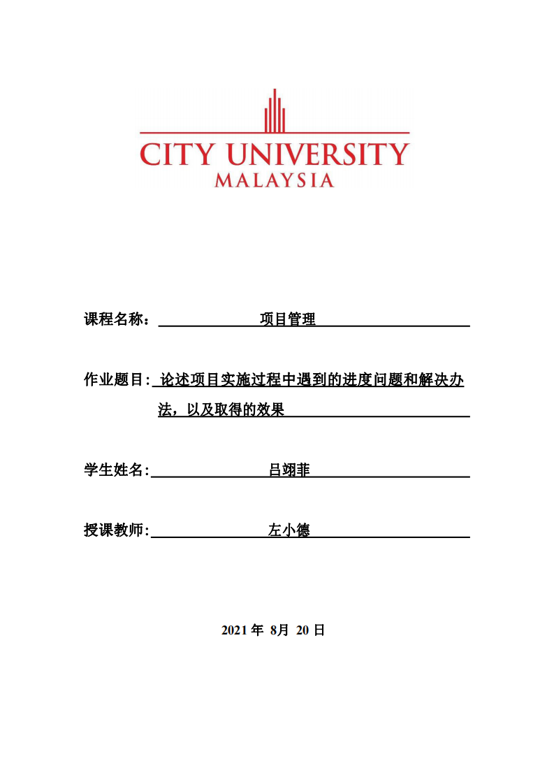 論述項目實施過程中遇到的進度問題和解決辦法，以及取得的效果-第1頁-縮略圖