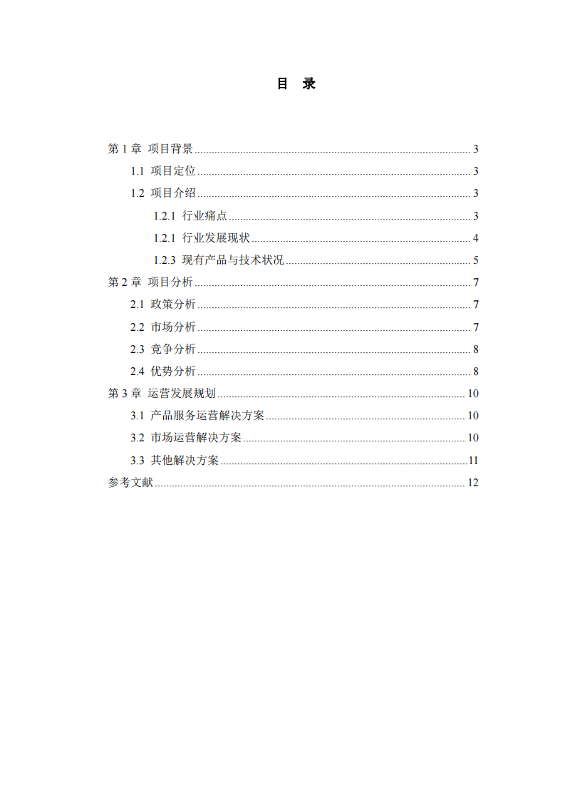 R 公司商业计划书-第2页-缩略图