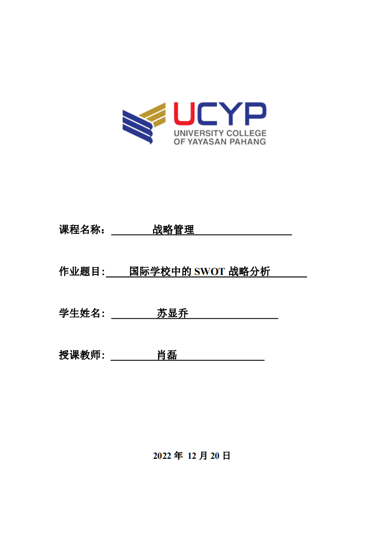 国际学校中的 SWOT 战略分析-第1页-缩略图