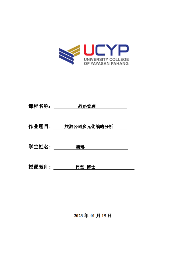 旅游公司多元化战略分析-第1页-缩略图