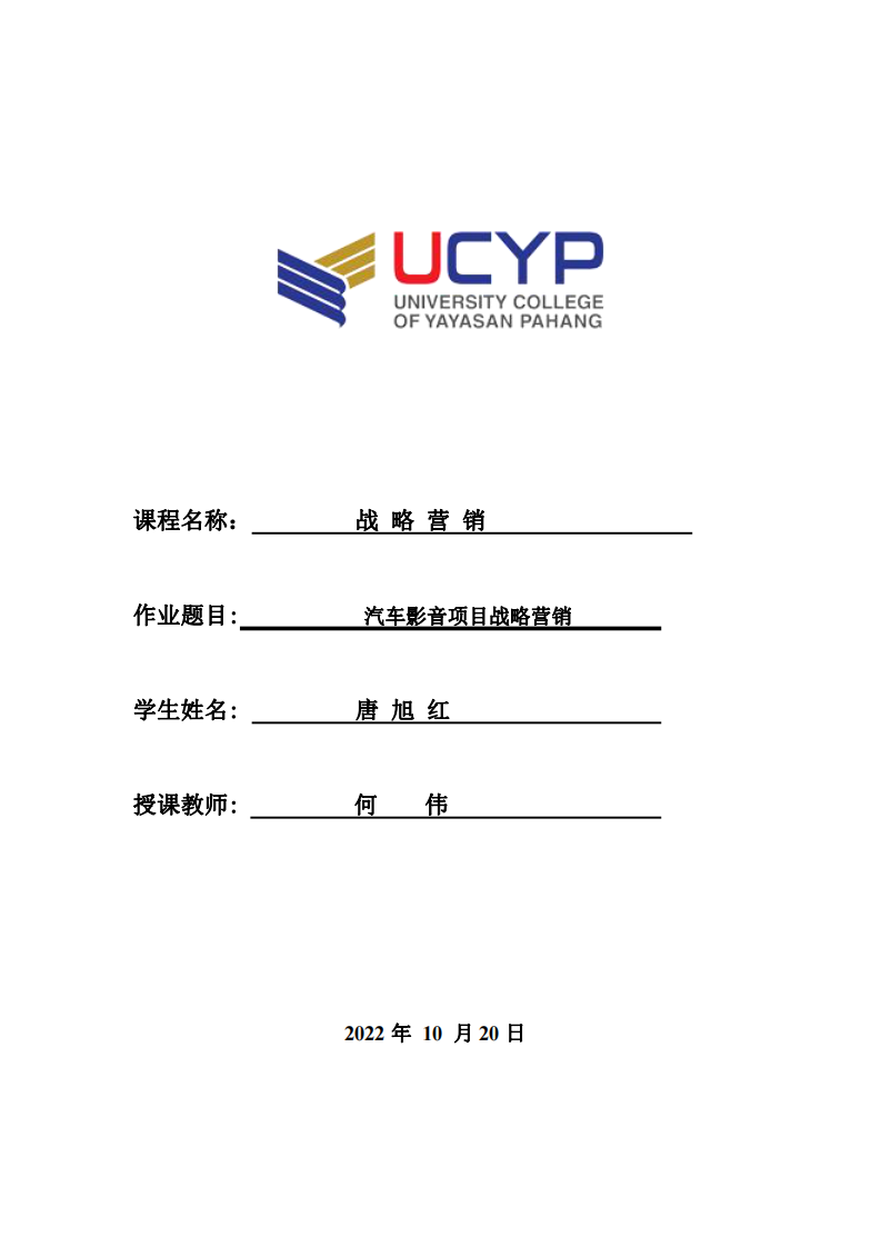 汽车影音项目战略营销-第1页-缩略图