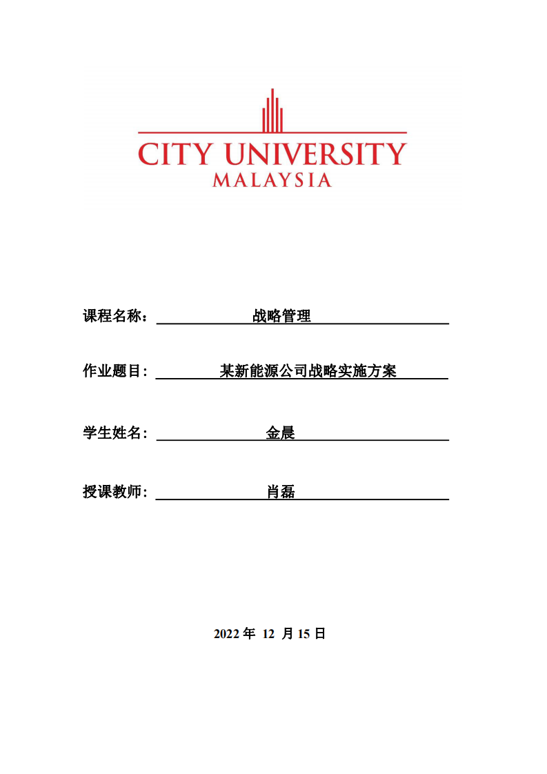 某新能源公司战略实施方案-第1页-缩略图