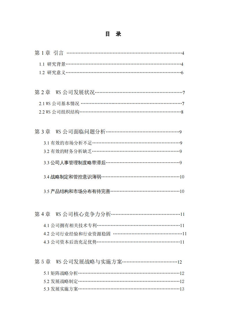 WS 公司发展战略与实施方案-第3页-缩略图