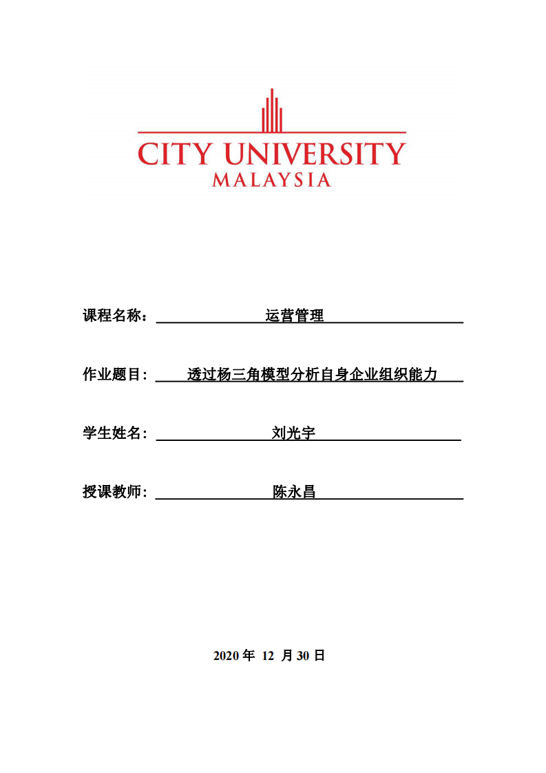 透過楊三角模型分析自身企業(yè)組織能力-第1頁-縮略圖