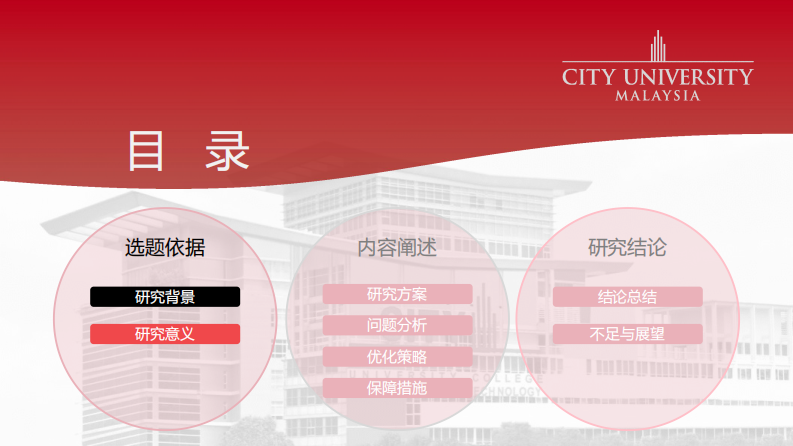 SN 公司財(cái)政項(xiàng)目管理優(yōu)化策略的研究-第3頁-縮略圖