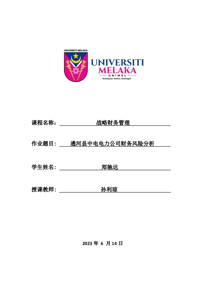 通河縣中電電力公司財(cái)務(wù)風(fēng)險(xiǎn)分析-第1頁-縮略圖