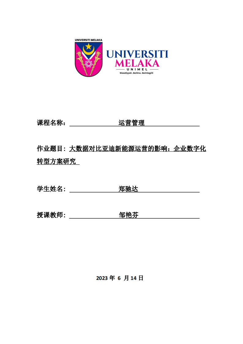 大數(shù)據(jù)對比亞迪新能源運營的影響：企業(yè)數(shù)字化轉(zhuǎn)型方案研究-第1頁-縮略圖