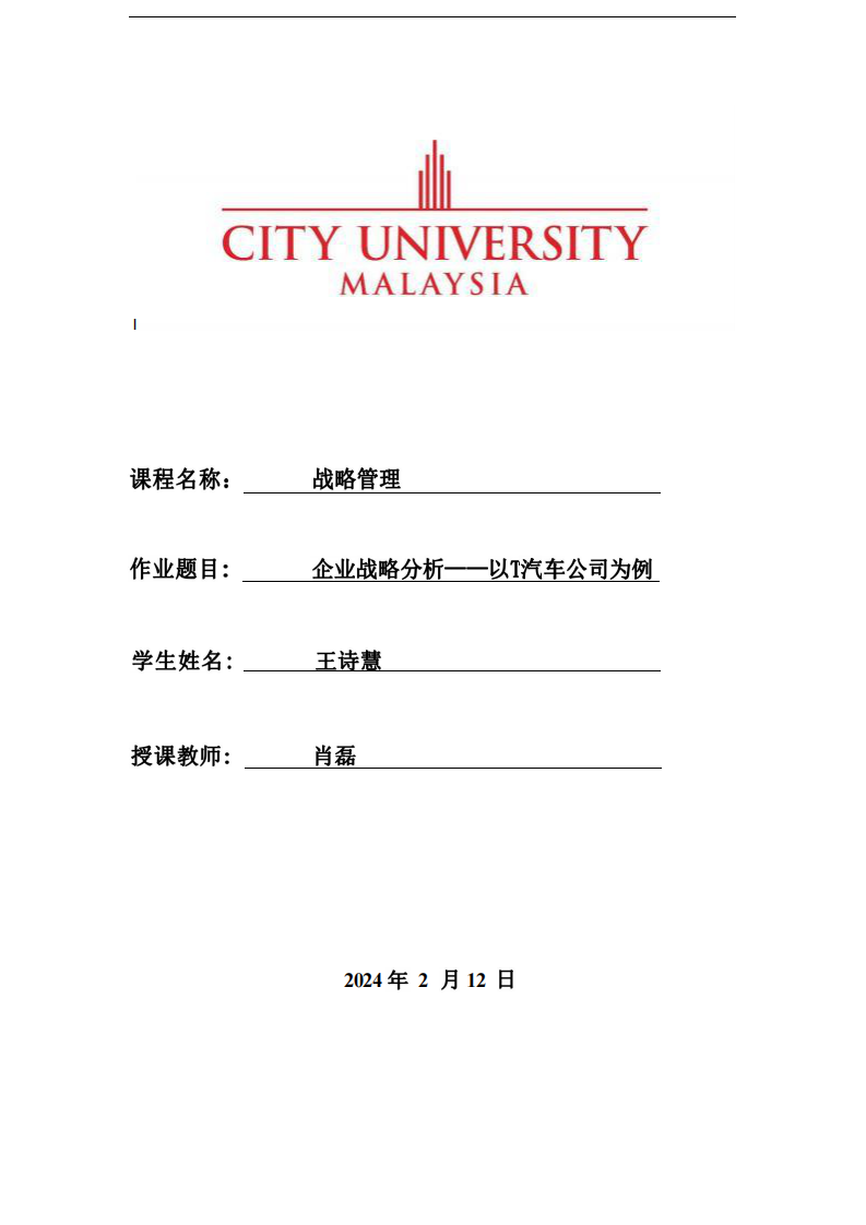 企业战略分析——以T汽车公司为例-第1页-缩略图