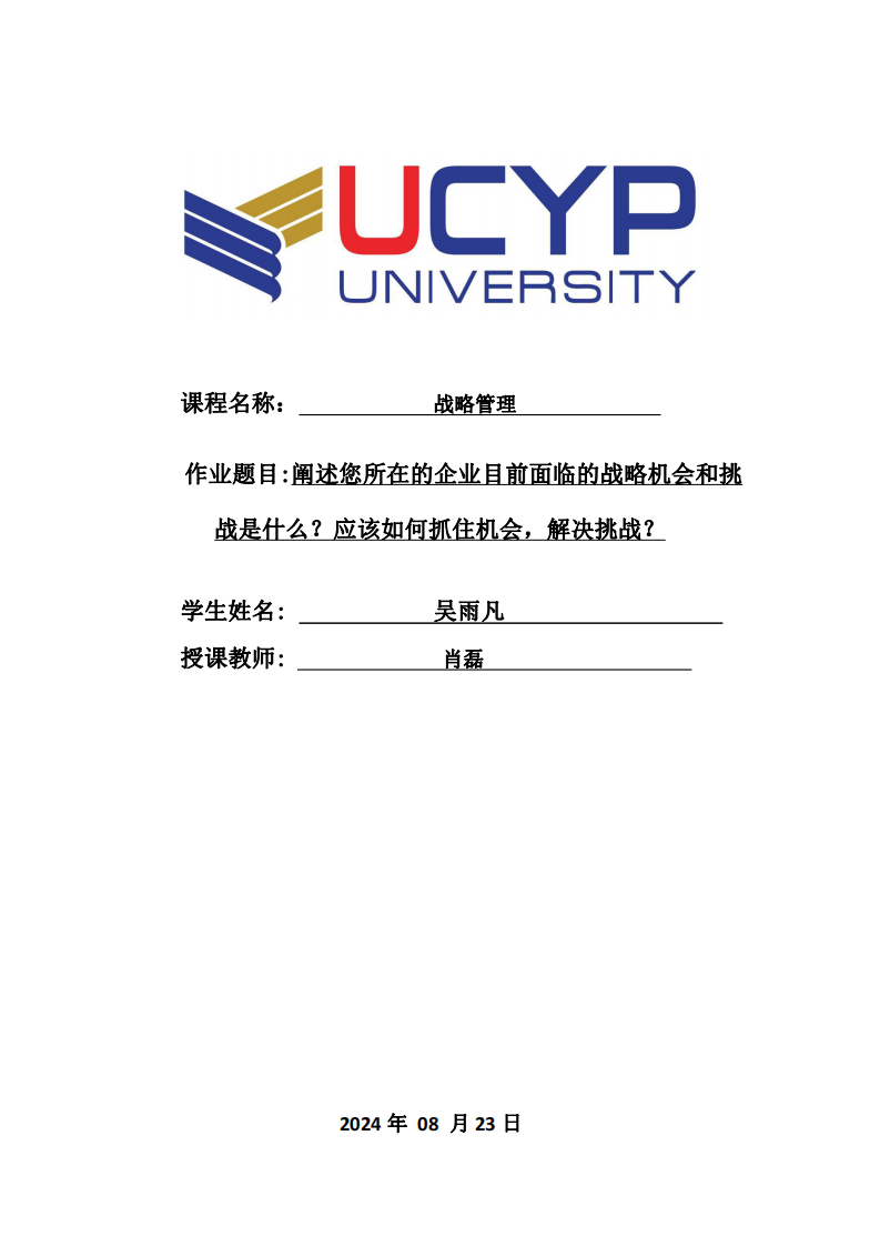 阐述您所在的企业目前面临的战略机会和挑战是什么？应该如何抓住机会，解决挑战？-第1页-缩略图