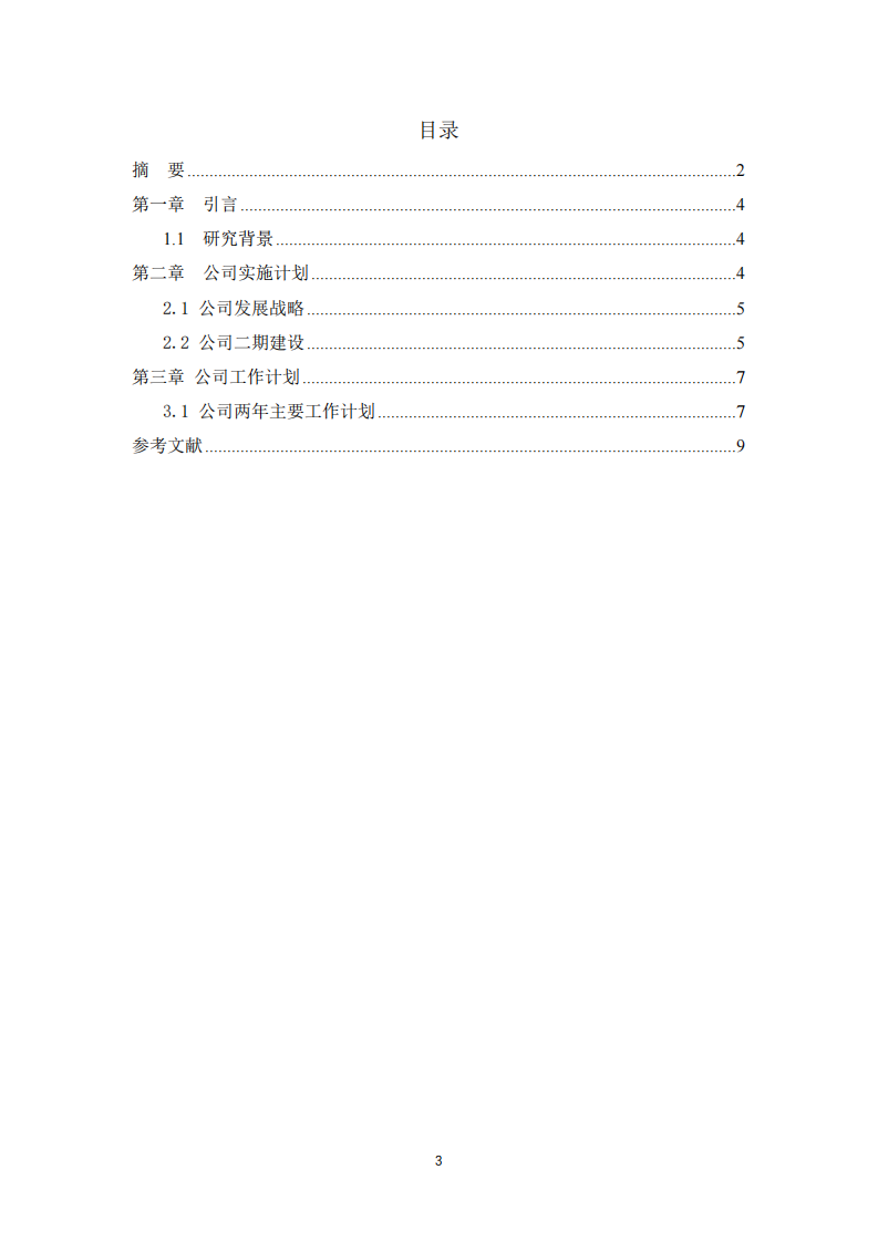 公司发展战略与具体实施方案 -第3页-缩略图