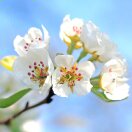 朱同学-https://img.nhiedu.cn/uploads/images/20250603/nh20285469.jpeg