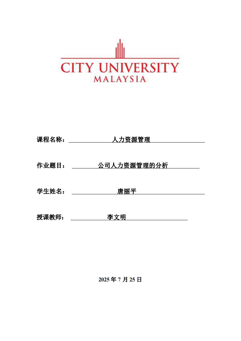 公司人力資源管的分析-第1頁-縮略圖