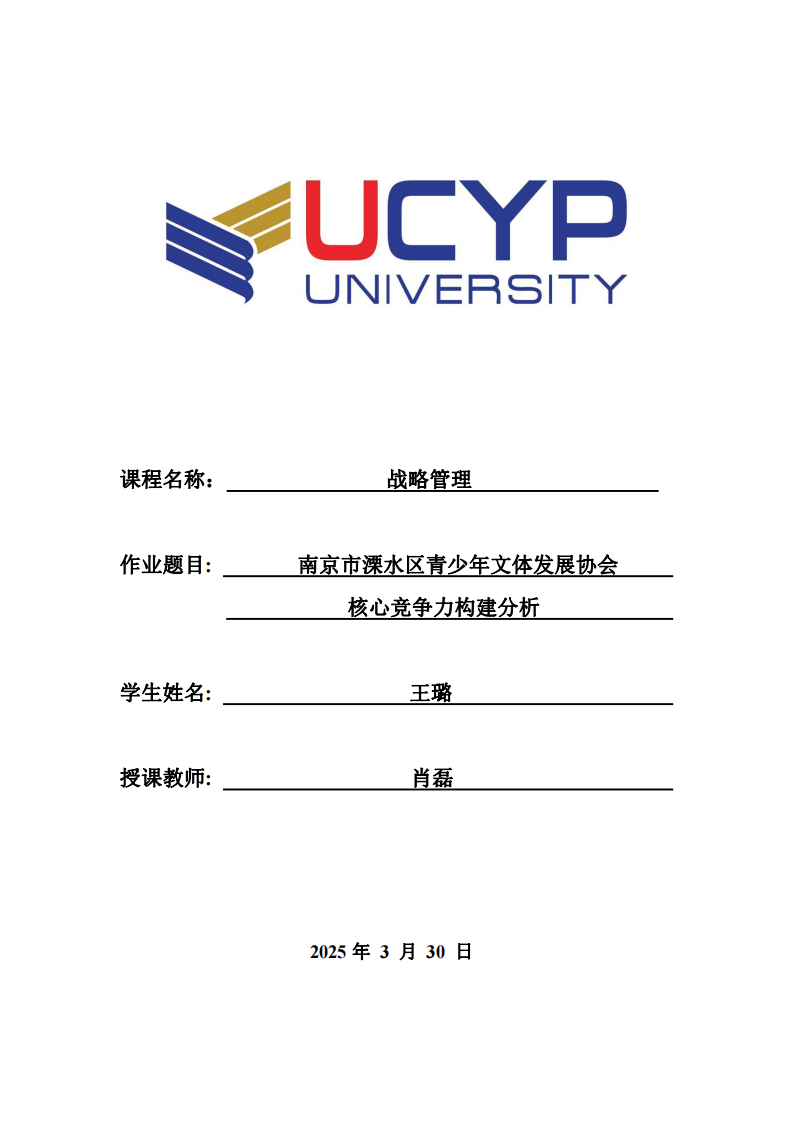南京市溧水區(qū)青少年文體發(fā)展協(xié)會(huì)核心競爭力構(gòu)建分析-第1頁-縮略圖