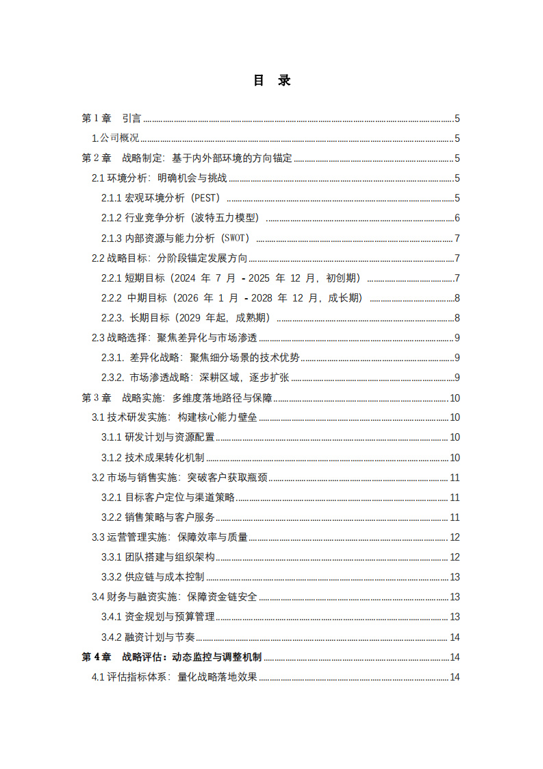 智眸科技有限公司戰(zhàn)略實施方案-第3頁-縮略圖