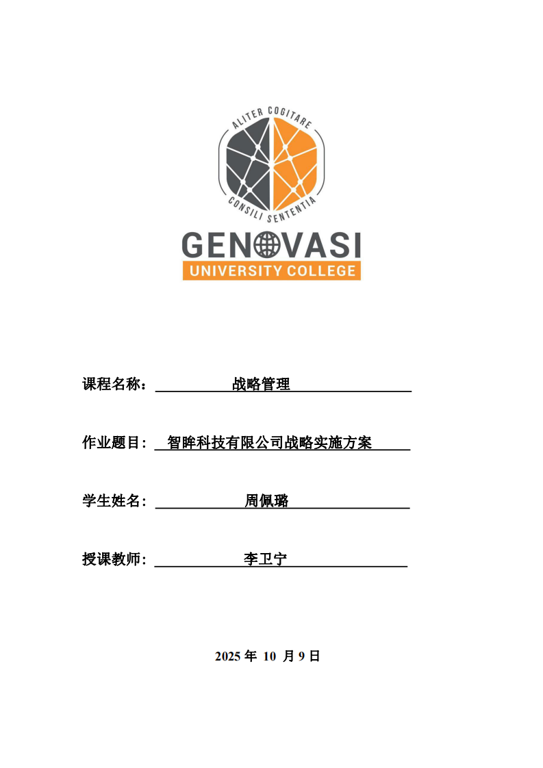 智眸科技有限公司戰(zhàn)略實施方案-第1頁-縮略圖