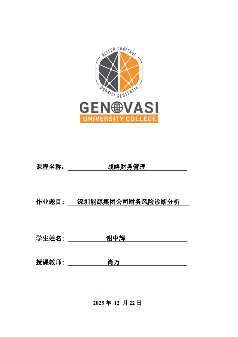 深圳能源集團公司財務(wù)風險診斷分析-第1頁-縮略圖