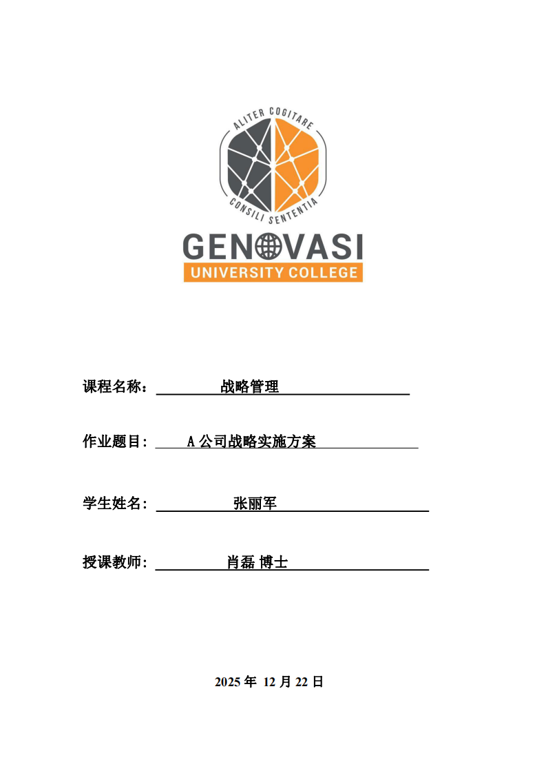 A公司戰(zhàn)略實(shí)施方案 -第1頁(yè)-縮略圖