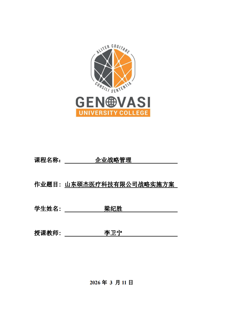 山東碩杰醫(yī)療科技有限公司戰(zhàn)略實施方案-第1頁-縮略圖