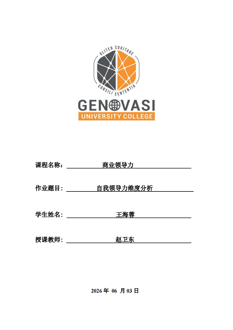  自我领导力维度分析-第1页-缩略图