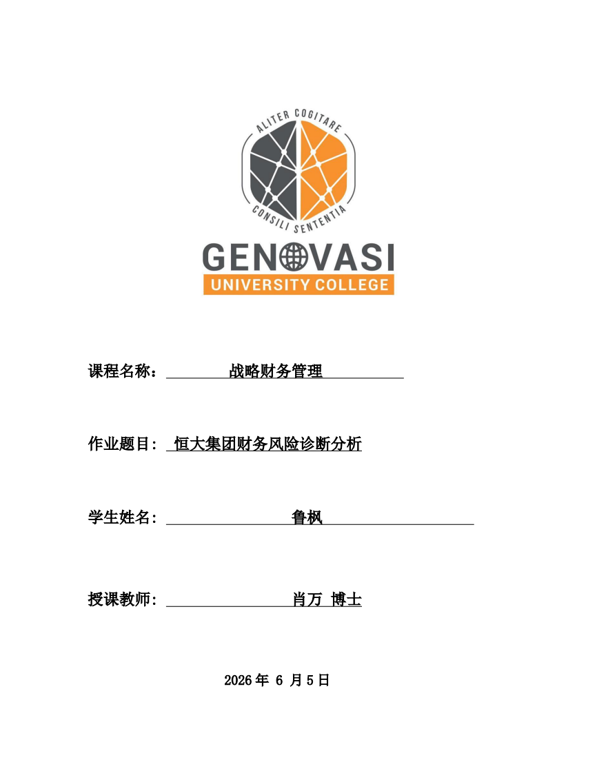 恒大集团财务风险诊断分析-第1页-缩略图